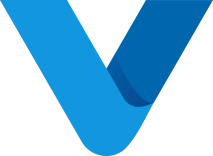 Veooz Digital Marketing Agency for Physical Therapists